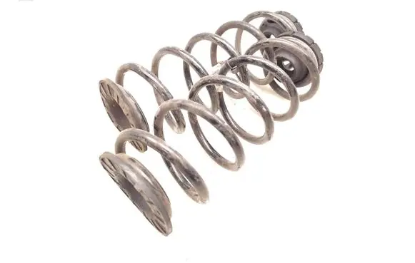 Rear coil spring