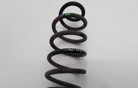 Dacia Duster II Rear coil spring 550202006R