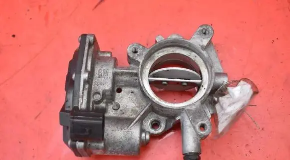 Throttle body valve