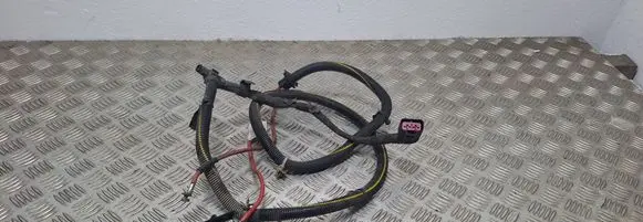 Other wiring loom