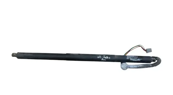Tailgate/trunk strut/damper