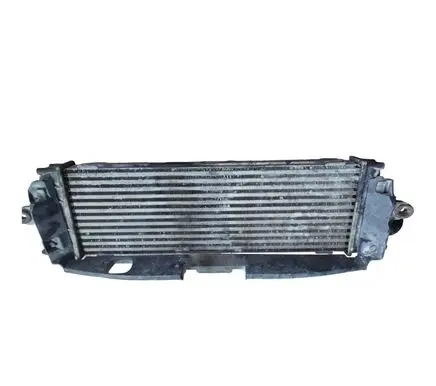 Renault Trafic II (X83) Intercooler radiator 8200411160 93854162 988650BB