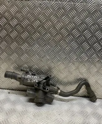 Thermostat/thermostat housing