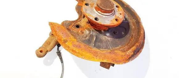 Skoda Octavia Mk2 (1Z) Rear wheel hub didzioji