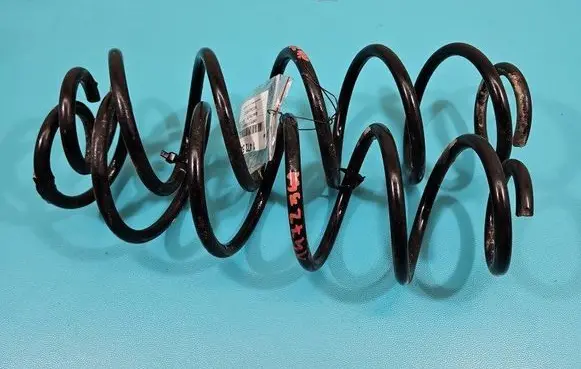 Rear coil spring