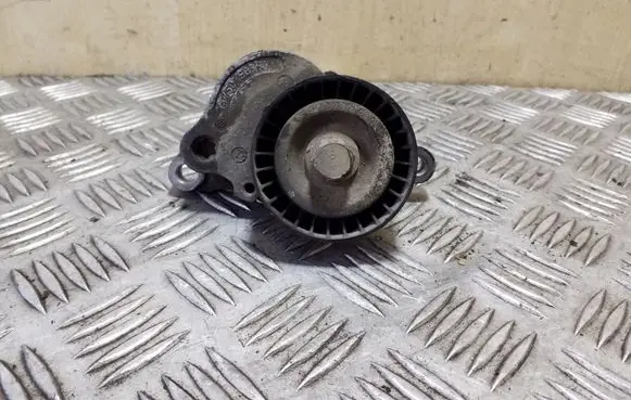 Nissan NV400 Generator/alternator belt tensioner 17507568R