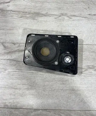 Panel speaker