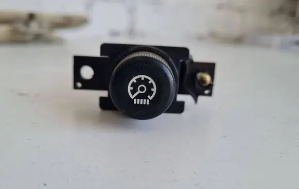 Panel lighting control switch