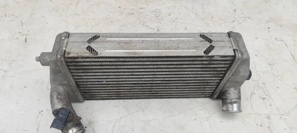 KIA Carnival Intercooler radiator 281904X90X