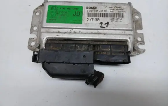 KIA Carens I Engine control unit/module 391102Y500 1038300735 0261207465