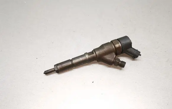 Citroen C5 Fuel injector 0445110076