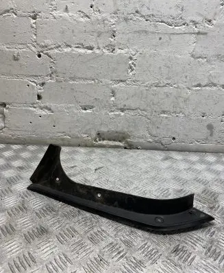 Rear/tail light trim molding
