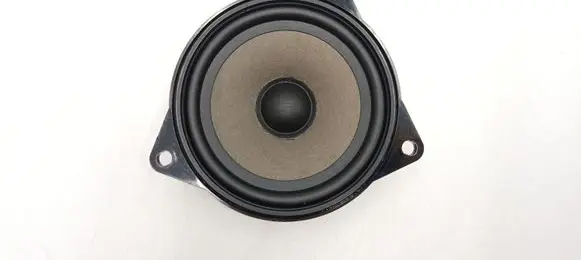 BMW X5 E70 Rear door speaker 65139141494 9141494