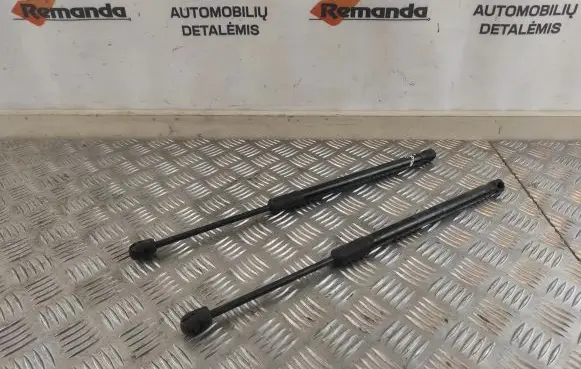 Opel Insignia B Front bonnet/hood damper/strut 39150008