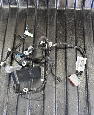Front door wiring loom