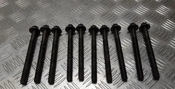 Renault Latitude (L70) Cylinder head bolts 