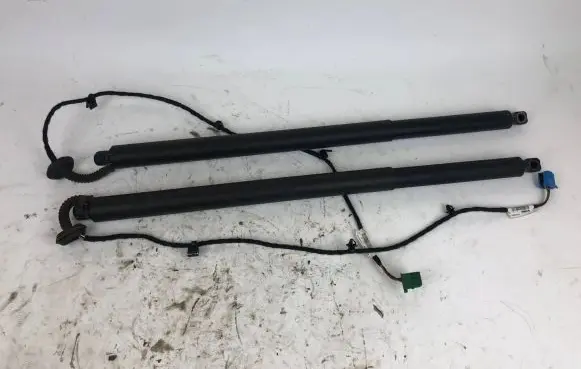 Tailgate strut