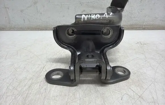 KIA Niro Rear door hinge set