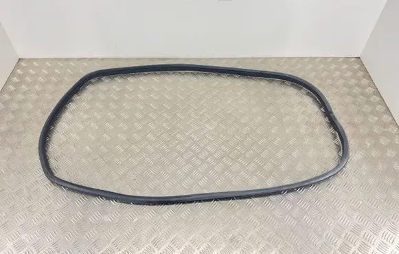 Rear door rubber seal (on body)