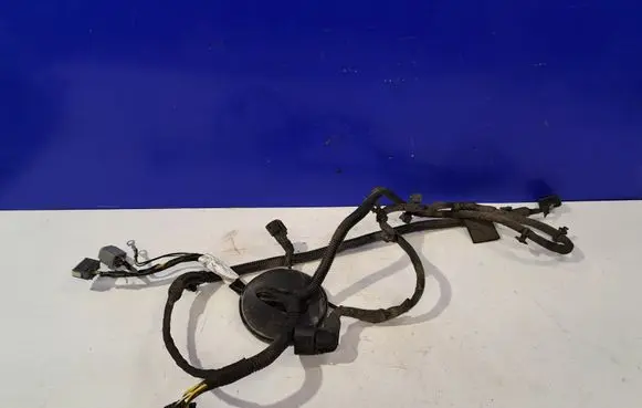 Other wiring loom