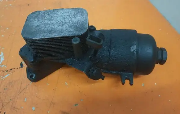 Peugeot 407 Engine oil radiator 