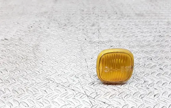 Front fender indicator light