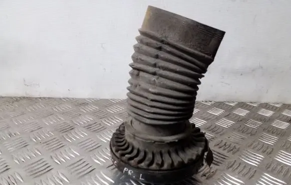 Coil spring mount
