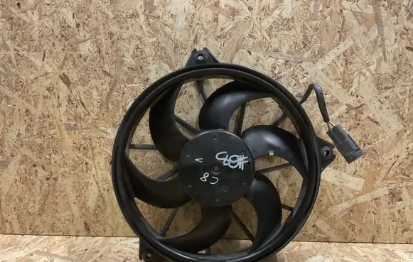 Citroen C8 Electric radiator cooling fan 1494742080