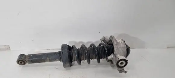 Porsche Cayenne (92A) Rear shock absorber/damper 7P5513029G