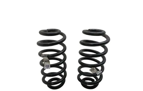Rear coil spring