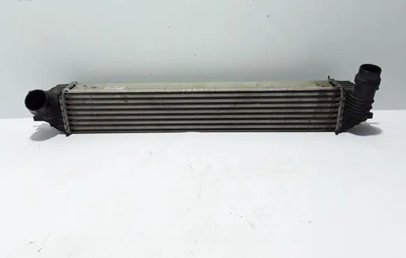 Renault Laguna III Intercooler radiator 144610001N