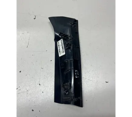 Rear/tail light trim molding