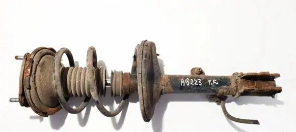 Toyota RAV 4 (XA20) Front shock absorber/damper