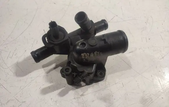 Thermostat/thermostat housing