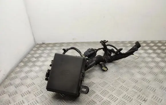 Ford Ecosport Fuse module JN1512A581GHE