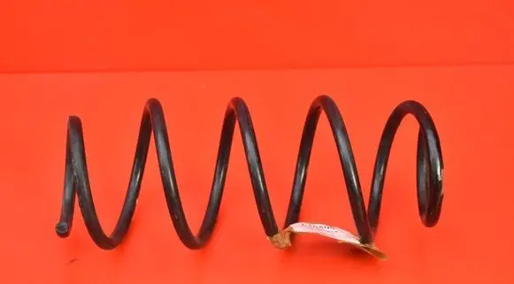 Skoda Praktik (5J8) Front coil spring