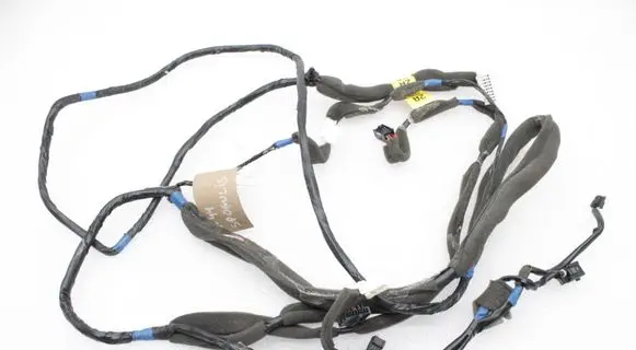 Opel Antara Other wiring loom 96824171 4810006