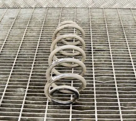 Rear coil spring