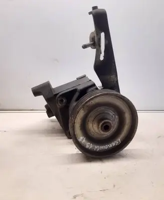Renault 19 Power steering pump