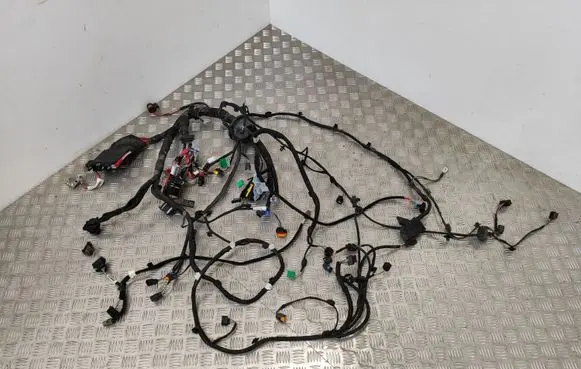 Renault Scenic IV - Grand scenic IV Other wiring loom 241148160R 240366223R 403885620R