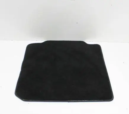 Ford F150 Rear floor mat JL1B7813016