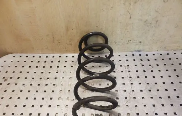 Front coil spring