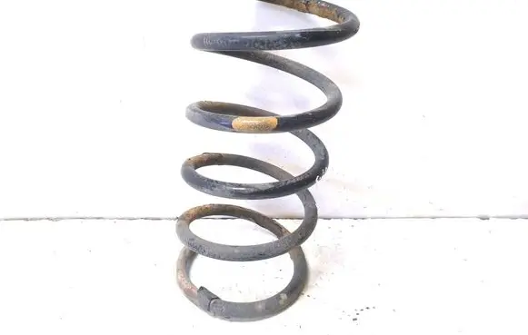 Rear coil spring