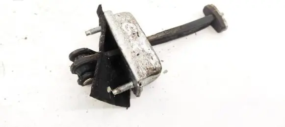 Ford Focus Rear door check strap stopper