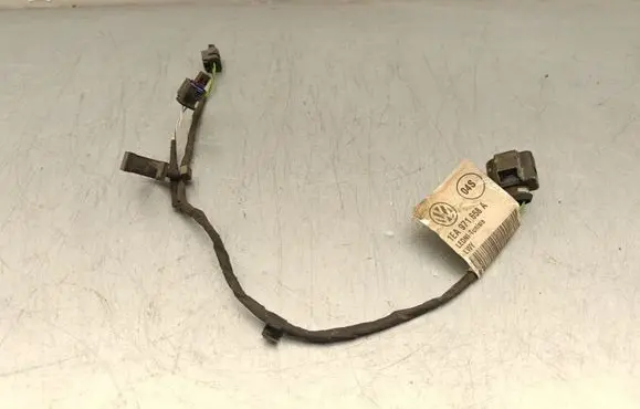 Volkswagen ID.4 Other wiring loom 1EA971658A