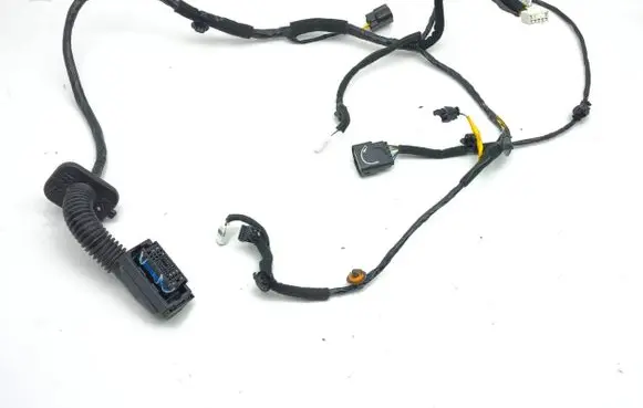 Front door wiring loom