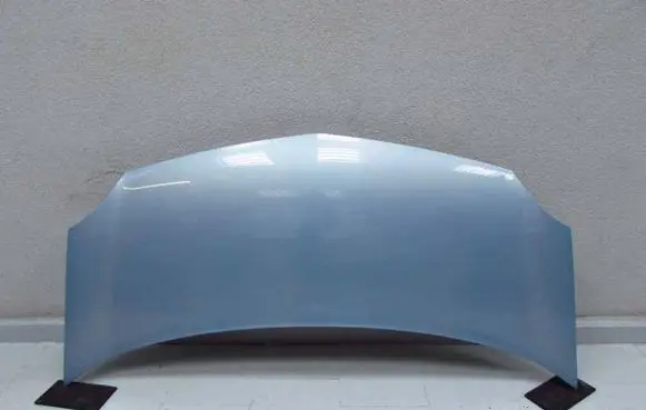 Renault Kangoo II Engine bonnet/hood 651329338R 56731