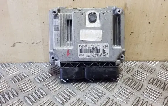 KIA Sportage Engine control unit/module 0281018847 391012F566