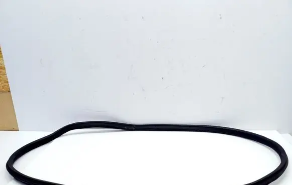 BMW i4 Front door rubber seal 