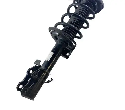 Ford Bronco Front shock absorber with coil spring LX6118K001JHD LX615310DNE LX613K155CNB